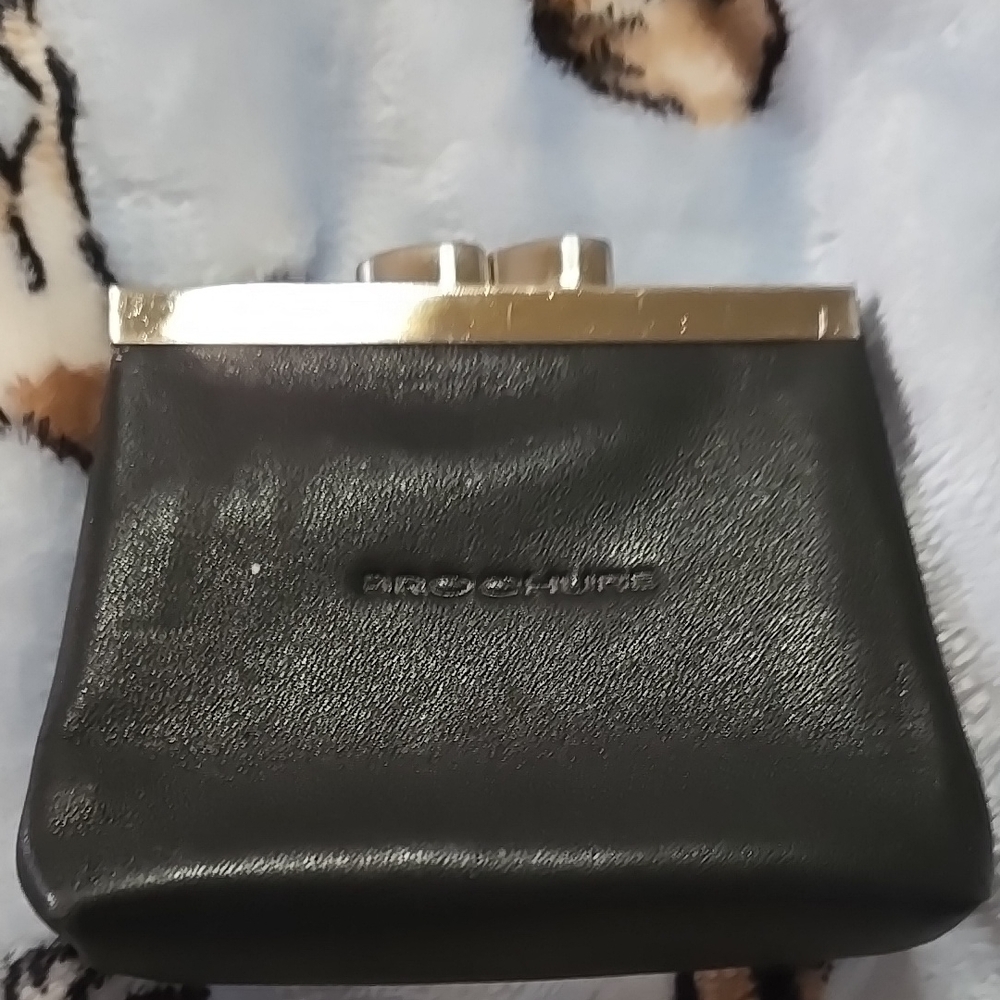 Brochure coin case kisslock